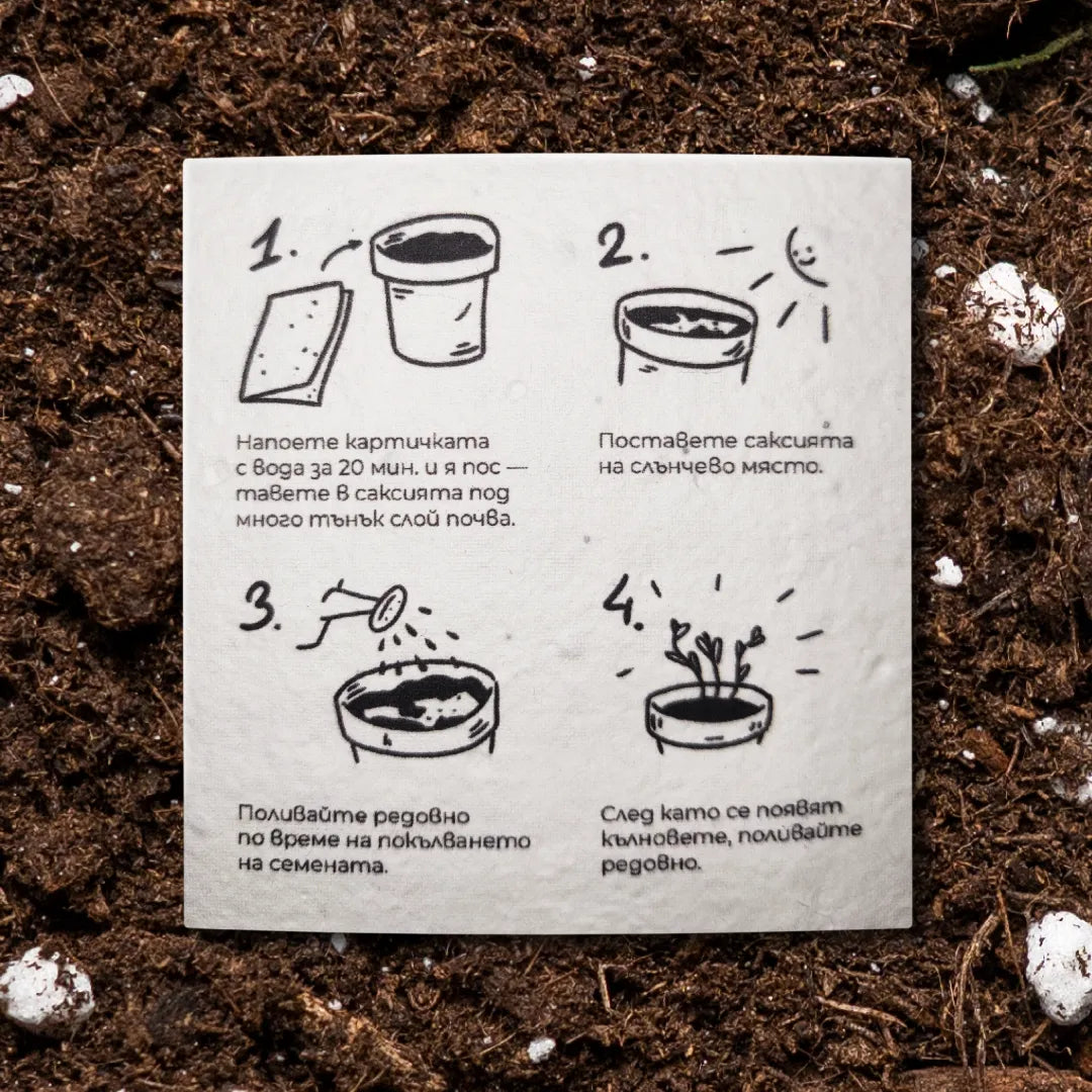 Честит празник от твоето ДЕТЕлина | Картичка за засаждане 🪴