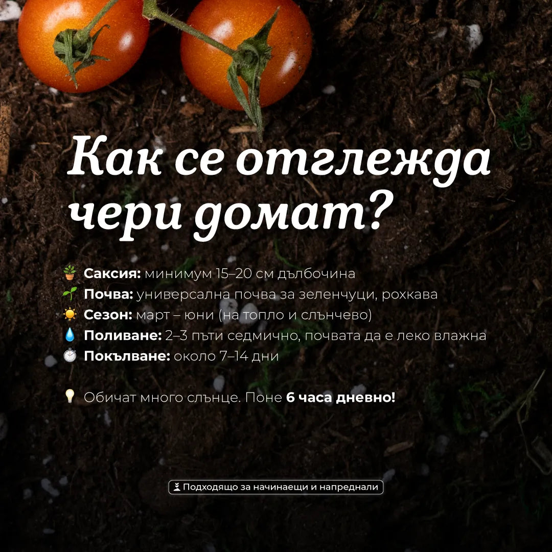 Правиш живота ми по-вкусен | Картичка за засаждане 🪴