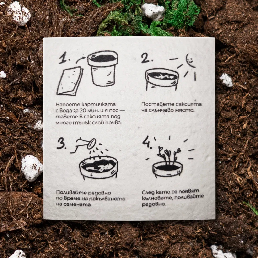 Пораснах в най-хубавата градина. Твоята. | Картичка за засаждане 🪴