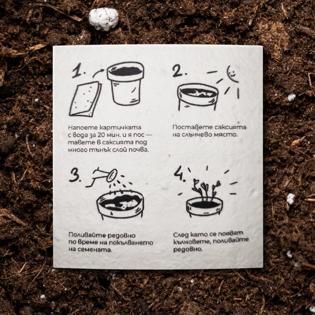 Правиш живота ми по-вкусен | Картичка за засаждане 🪴
