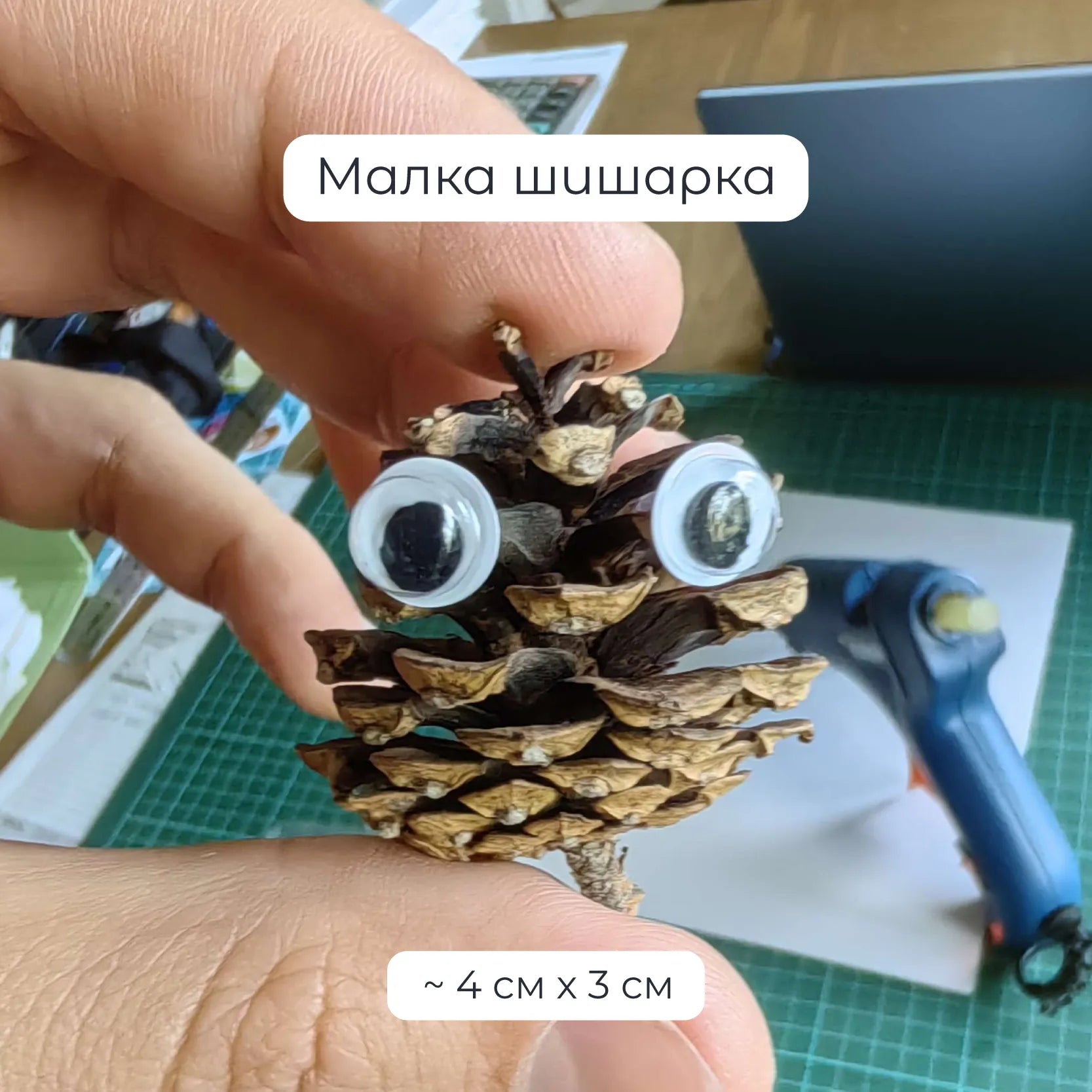 Радо Шишарката