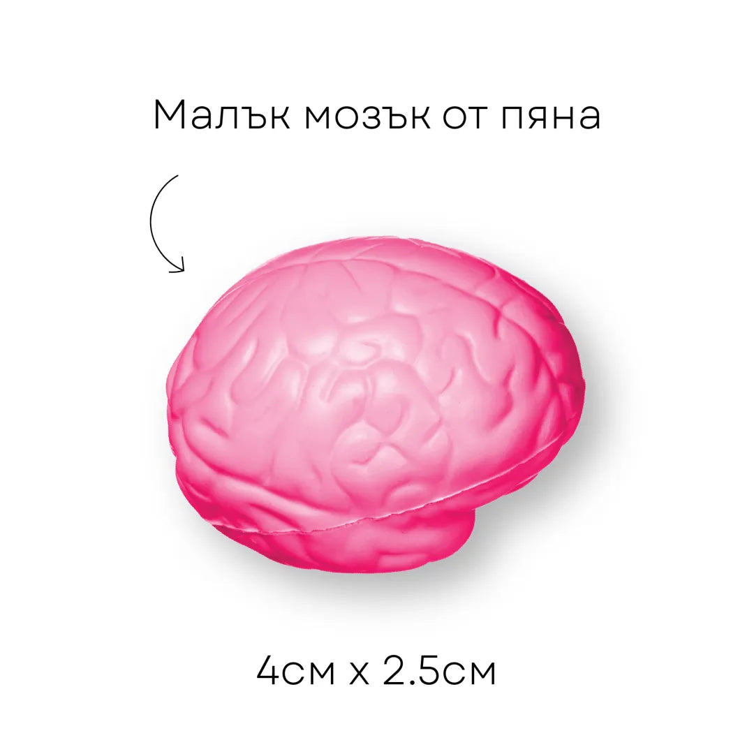 Малко мозък