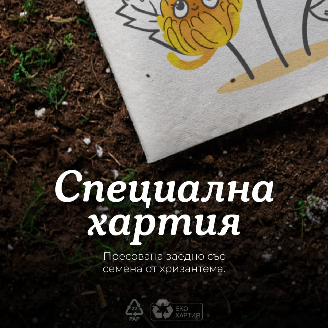 Честит празник (хризантема) | Картичка за засаждане 🪴
