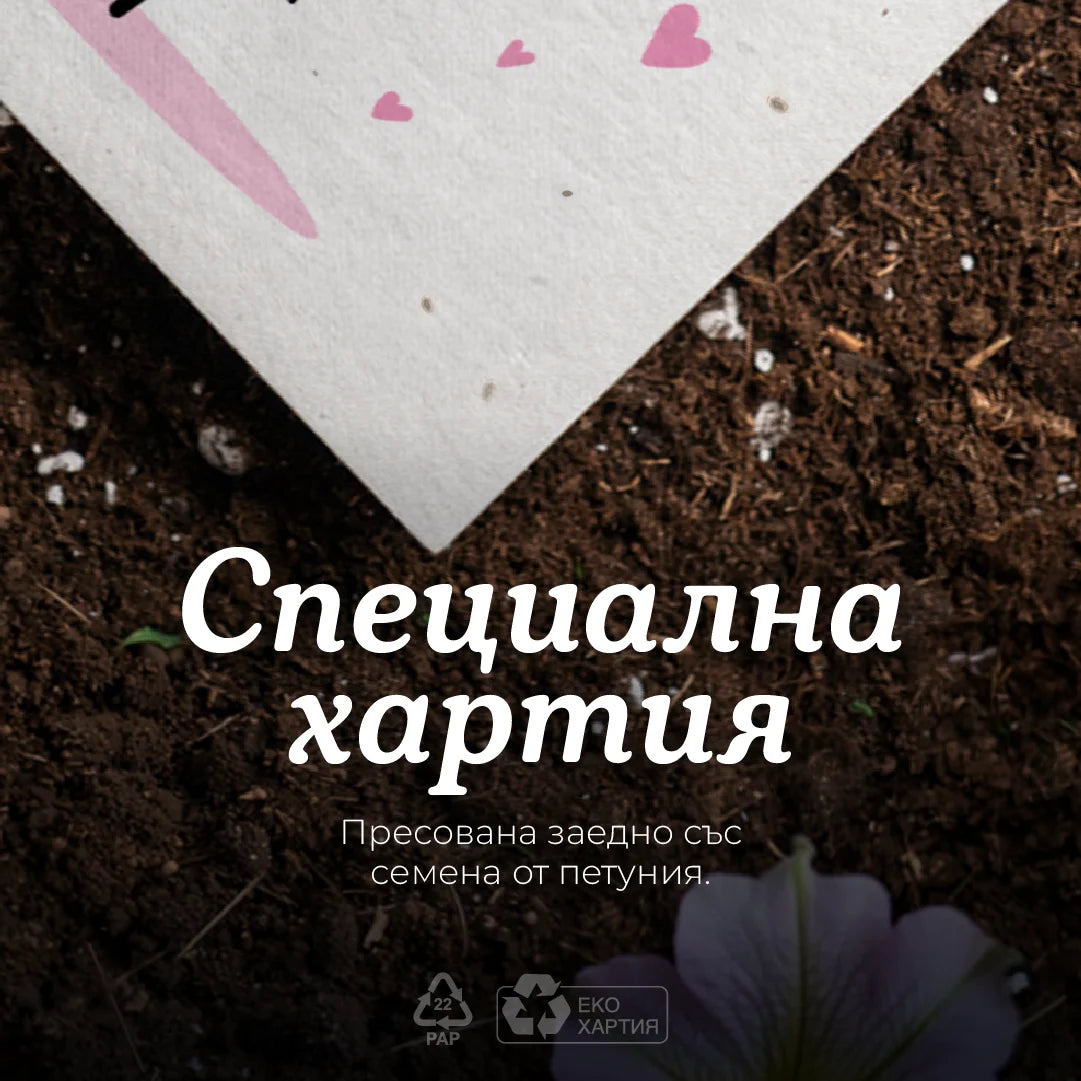 Цвете за любимото ми цвете (петуния) | Картичка за засаждане 🪴