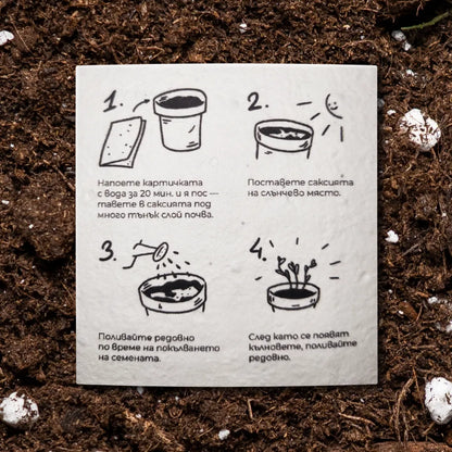 Честит празник от твоето ДЕТЕлина | Картичка за засаждане 🪴