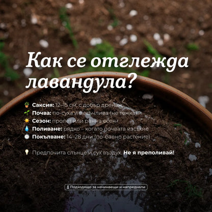 Пораснах в най-хубавата градина. Твоята. | Картичка за засаждане 🪴