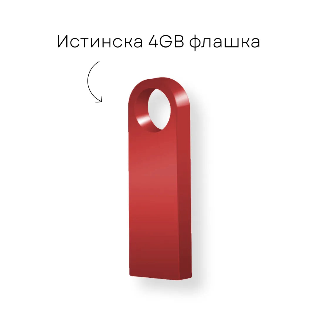 Флашка с Вируси (4GB)