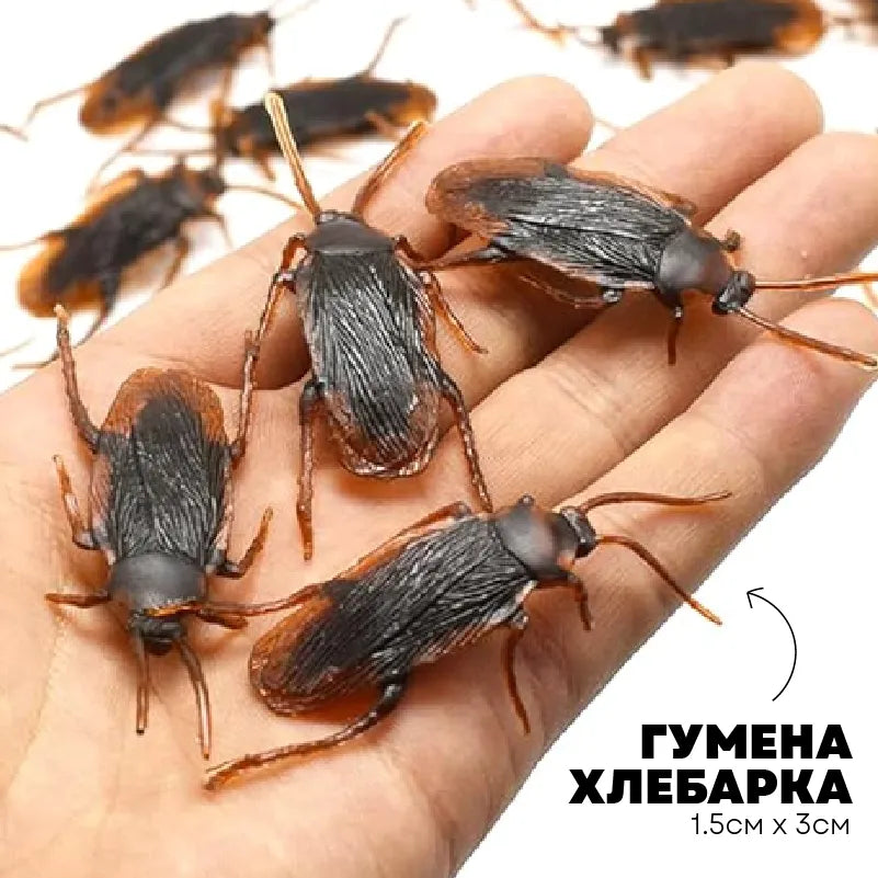 Домашен любимец за студенти