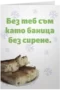 Баница без сирене - Коледа