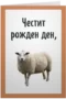 ЧРД, овца
