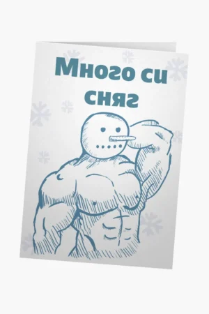 Много си сняг